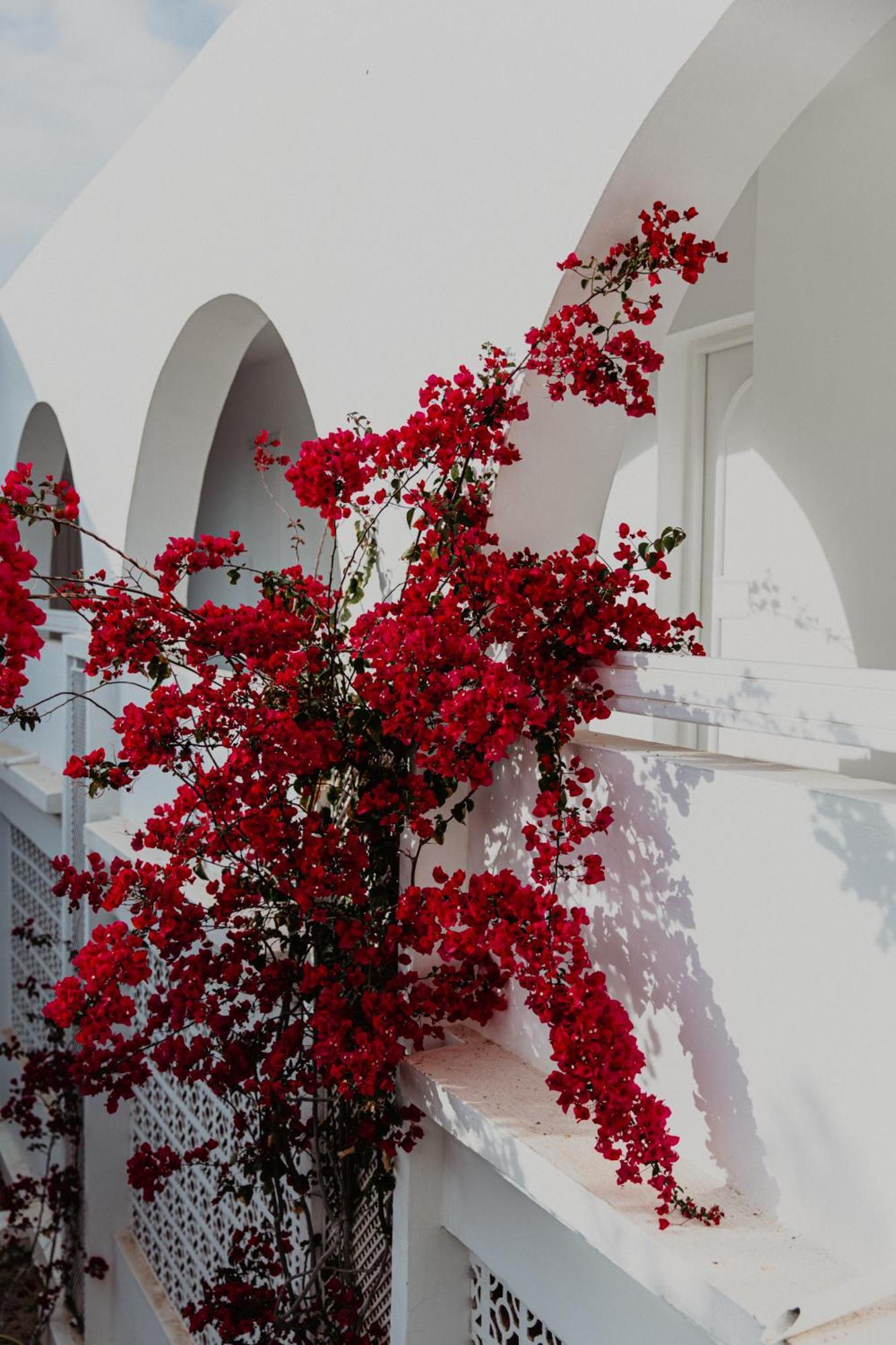 Hotel Bougainvillier Djerba Taguermess Buitenkant foto